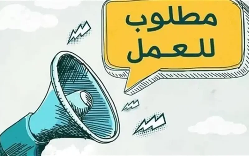 راتب 20 ألف جنيه.. فرص عمل بـ 3 تخصصات مختلفة في عدة محافظات المصريين